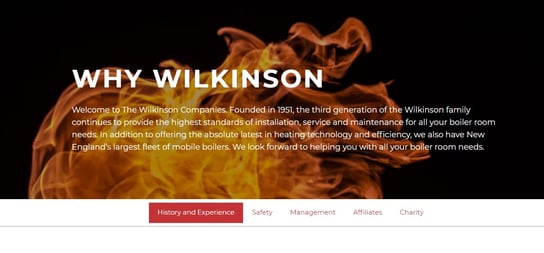 Wilkinson Boilers