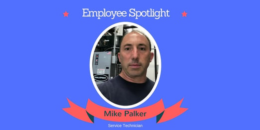 employee spotlight 2